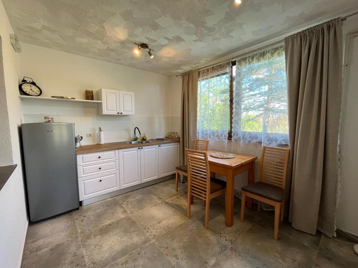 Guesthouse Hodak Seliste Dreznicko Exterior foto